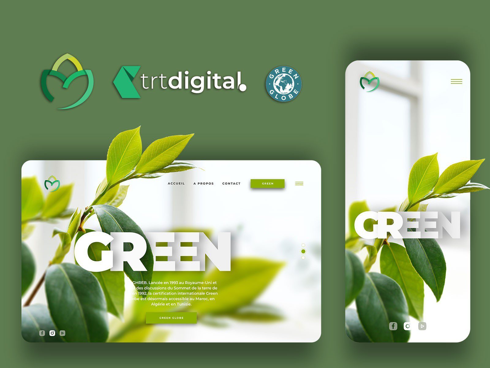 Green Globe — Opération Japon